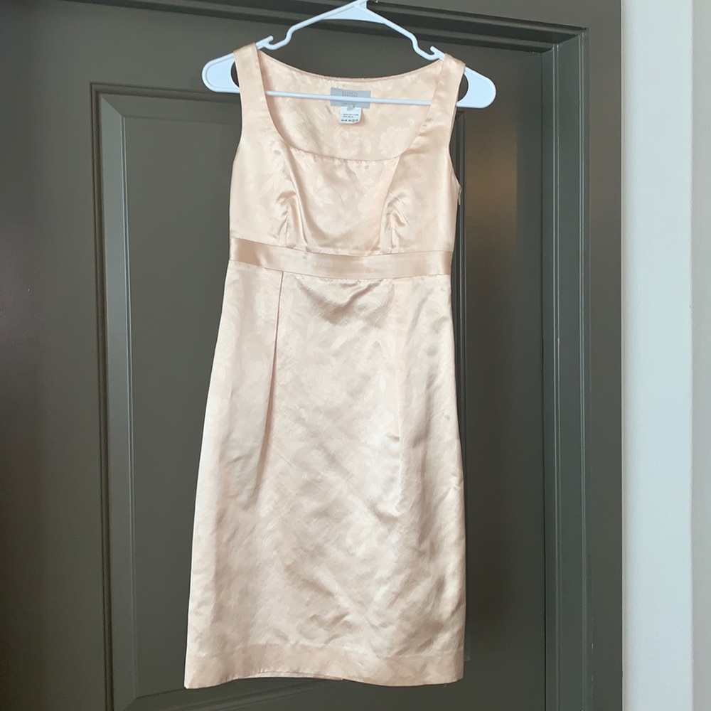Barney’s Dress